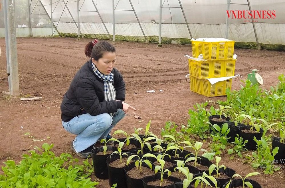 Câu chuyện về sự kiên trì, sáng tạo và khát vọng phát triển đã được viết nên từ ước mơ làm giàu từ nghề nông của chị Hà.