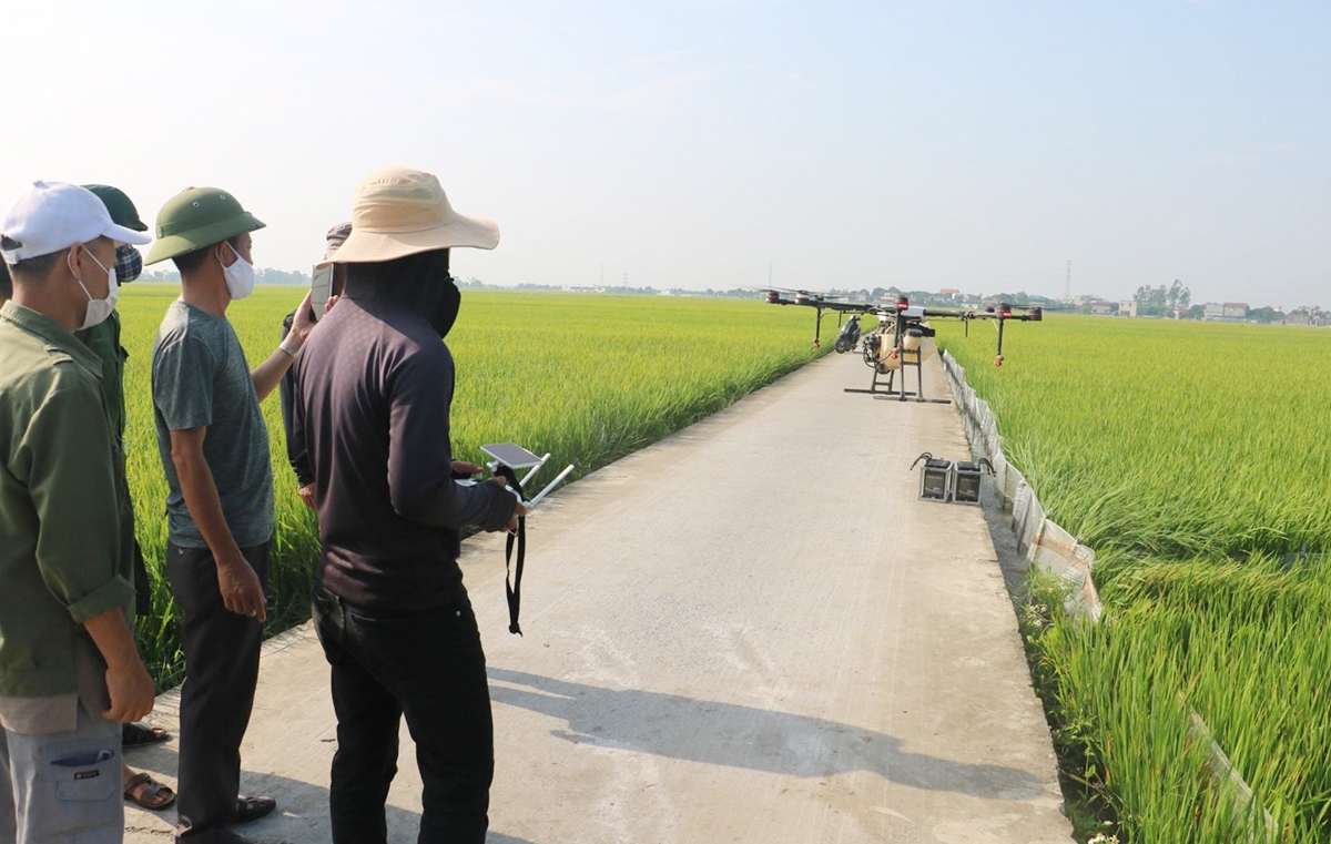 Thái Bình đang định hướng phát triển nông nghiệp công nghệ cao gắn với chuỗi giá trị gia tăng &lpar;Ảnh: BTB&rpar;.