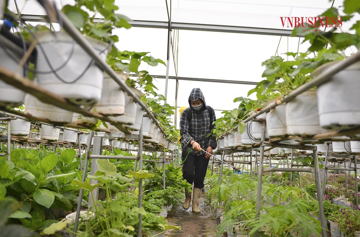 Mỗi công đoạn sẽ có nhân công phụ trách và được nghiệm thu.