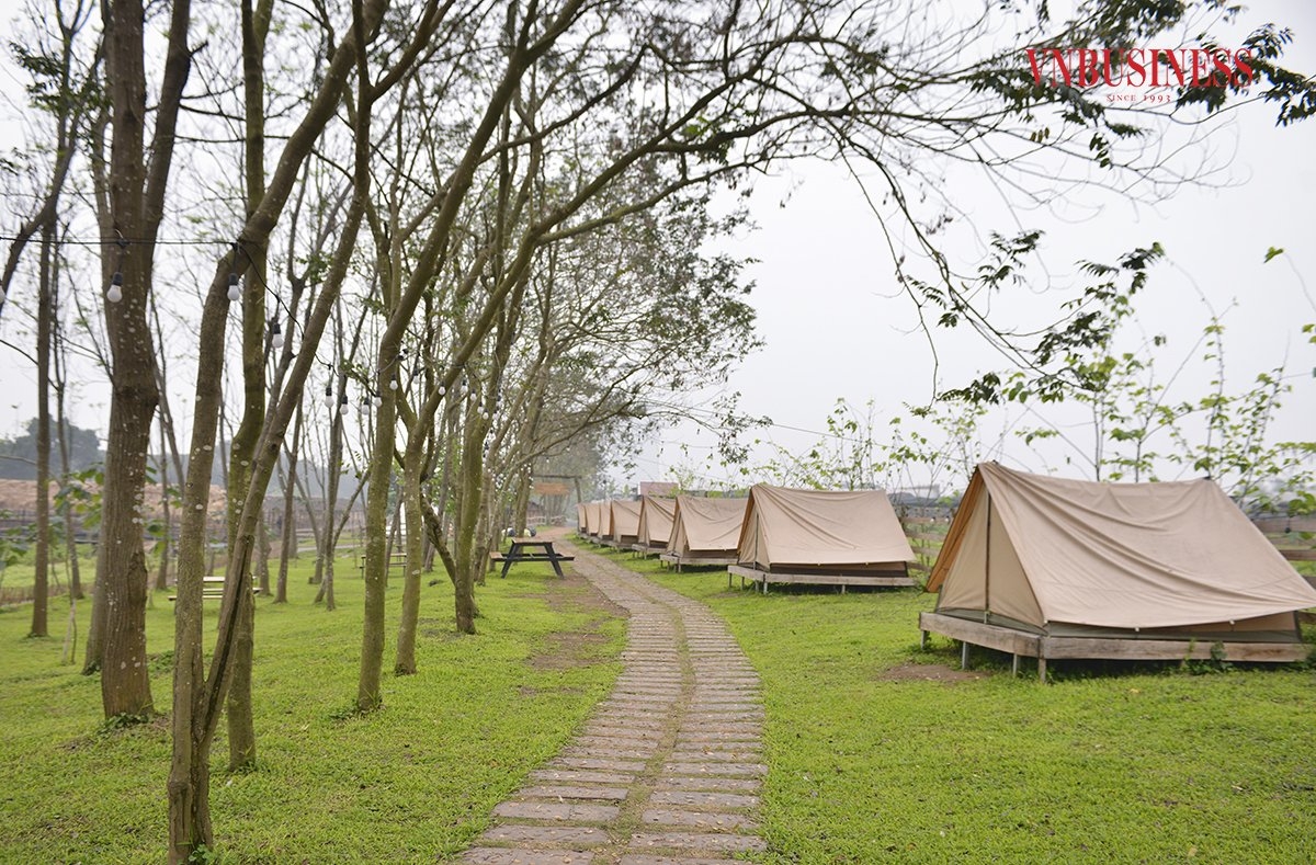 Việc đầu tư và phát triển mô hình HTX công nghệ cao kết hợp du lịch nông nghiệp sinh thái mang lại hiệu quả kinh tế cao.