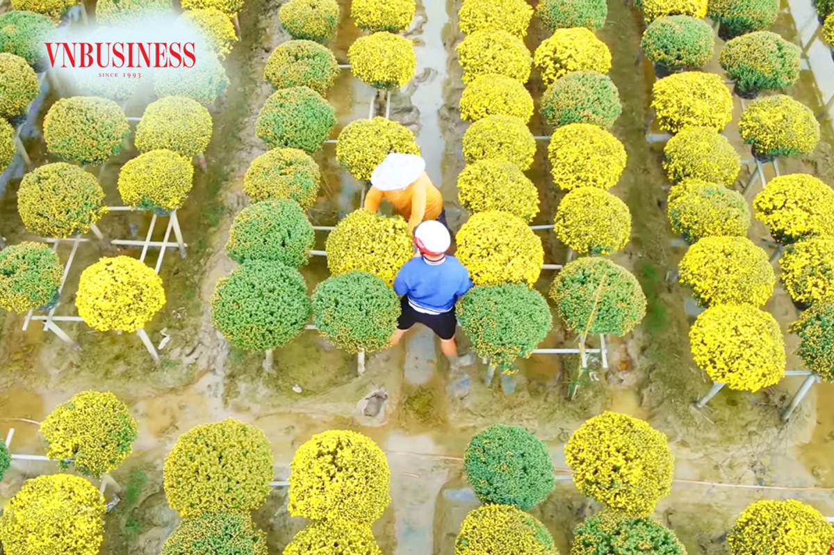 Nông nghiệp công nghệ cao là điểm tựa để HTX, nông dân Đồng Tháp phát triển du lịch sinh thái.