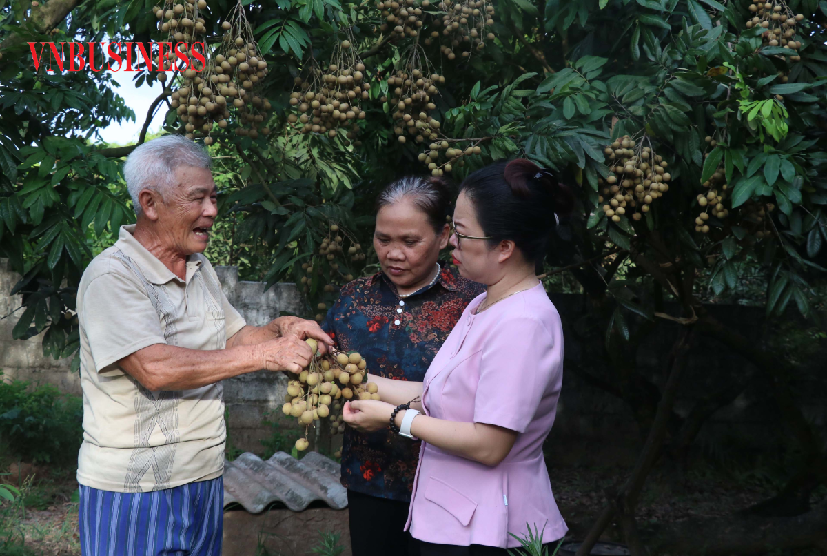 Bên cạnh ứng dụng công nghệ cao, nông dân, HTX ở Hưng Yên cũng tích cực sản xuất theo hướng hữu cơ.