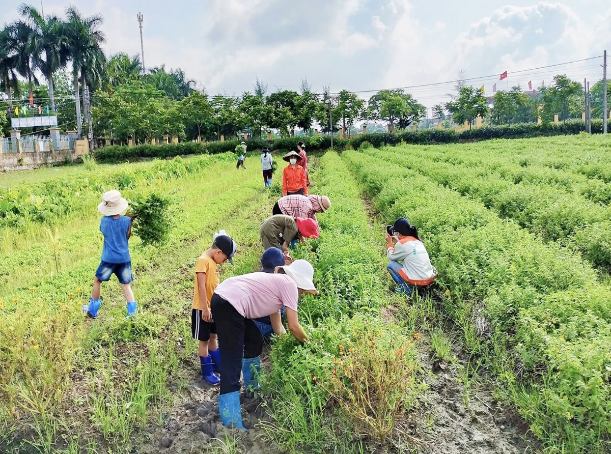 Gotafarm đang là địa chỉ du lịch trải nghiệm của nhiều du khách, học sinh địa phương.