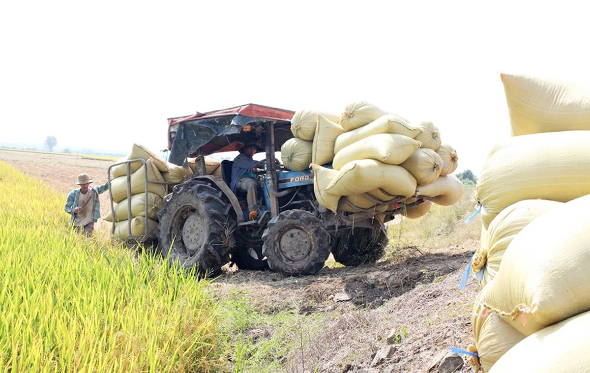 Cơ giới hóa giúp nông dân giảm công lao động, tăng giá trị sản xuất &lpar;Ảnh: BĐN&rpar;.