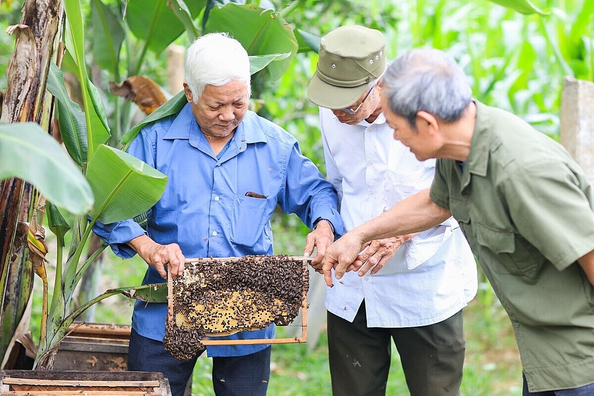 Các nghiên cứu khoa học là cơ sở để người dân, HTX yên tâm sản xuất phát triển sản phẩm.