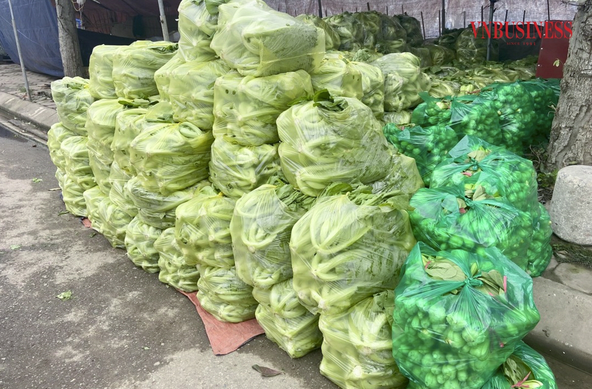 Rau củ sau khi thu hoạch sẽ có người đến tận vườn thu mua hoặc người dân sẽ chở đến chợ để tập kết và đưa đến các nơi để tiêu thụ. Phạm Hòa