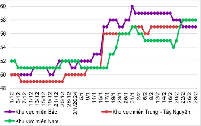 Giá heo có xu hướng đi lên trong thời gian gần đây.
