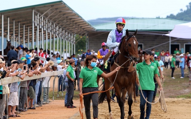 Sau 7 năm, chưa có doanh nghiệp nào được kinh doanh cá cược bóng đá quốc tế, đua ngựa do vướng luật và cơ chế góp vốn từ nhà đầu tư.