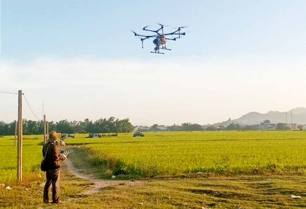 Thiết bị bay không người lái &lpar;drone&rpar; trên cánh đồng lớn ở Bình Định &lpar;Ảnh: BBĐ&rpar;.