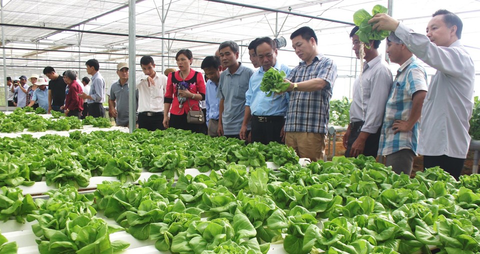 Nông nghiệp công nghệ cao rất thích hợp để mở rộng dịch vụ trải nghiệm du lịch.