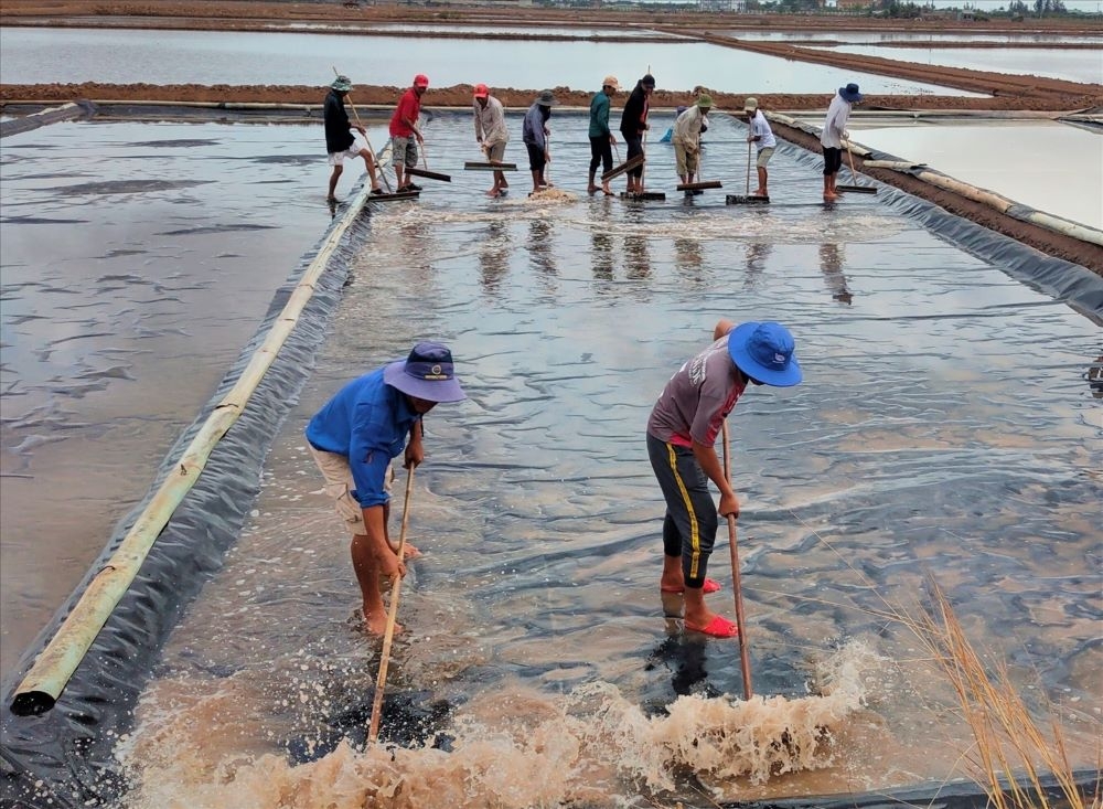 Diêm dân xã Long Điền Đông &lpar;huyện Đông Hải, tỉnh Bạc Liêu&rpar; vững tin sản xuất dựa trên phương pháp trải bạt.