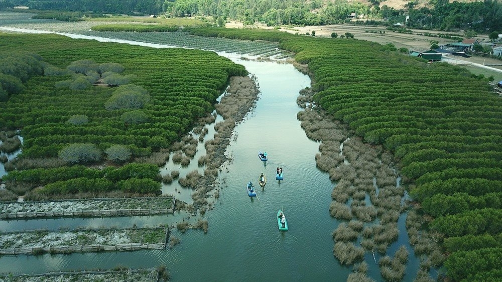 Việt Nam đã bán thành công 10,3 triệu tín chỉ carbon rừng.