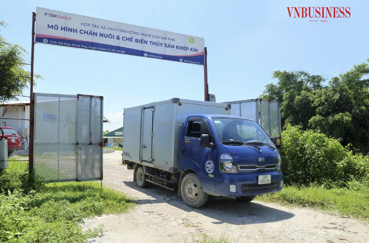 Hiện nay, đầu ra thị trường của HTX hiện nay tương đối rộng. HTX đã ký được nhiều hợp đồng cung cấp thực phẩm cho các bếp ăn tập thể của các trường học, bệnh viện, khu công nghiệp, doanh trại quân đội, một số hệ thống siêu thị tại Hà Nội và từng bước hướng tới việc xuất khẩu ra thị trường nước ngoài. Phạm Hòa