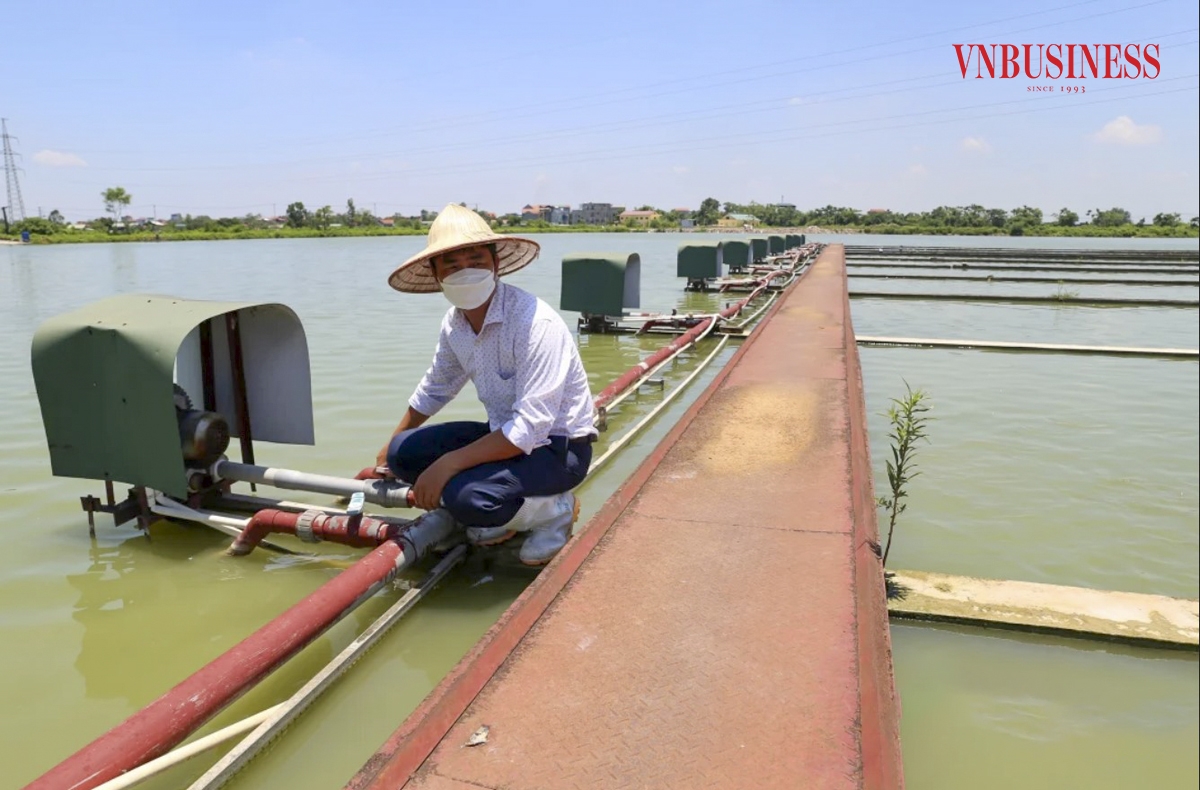 Anh Nguyễn Văn Thiêm, phó Giám đốc HTX cho biết, thống máy móc hiện đại hoạt động liên tục tạo thành dòng sông trong ao. Với tập tính loài cá thường bơi ngược dòng nên việc nuôi trong môi trường này cá thường xuyên vận động, giúp thịt săn chắc, thơm ngon hơn. Hiện HTX đang nuôi nhiều loại cá như: trắm, chép, rô phi, diêu hồng…