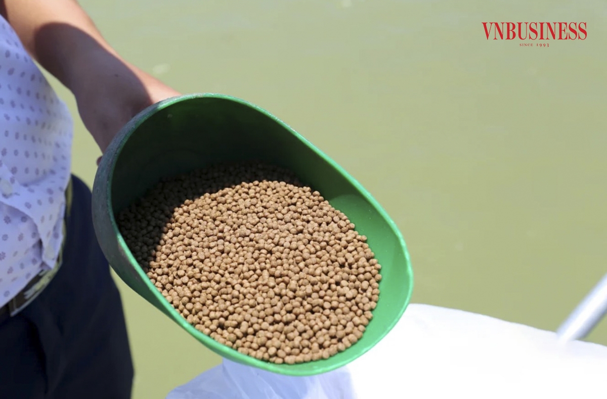 Với tiêu chí an toàn vệ sinh thực phẩm được đặt lên hàng đầu, toàn bộ thức ăn cho cá tại đây đều được sử dụng từ các đơn vị cung cấp có uy tín trên thị trường, rõ nguồn gốc; nhờ đó các sản phẩm tại đây luôn được khách hàng đánh giá cao về chất lượng.