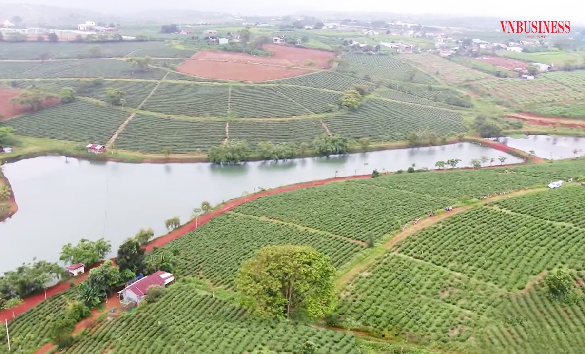 Nhiều nhà đầu tư có nhu cầu thoát hàng đất nền ở Lâm Đồng vẫn mòn mỏi chờ sóng lên.