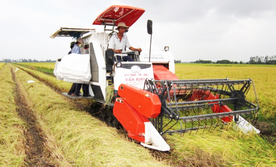 Sản xuất trên cánh đồng lớn giúp nông dân đồng bộ cơ giới hóa, nâng cao giá trị canh tác.