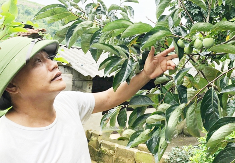 Ứng dụng khoa học kỹ thuật vào sản xuất giúp nông dân Lạng Sơn nâng cao thu nhập &lpar;Ảnh: BLS&rpar;.