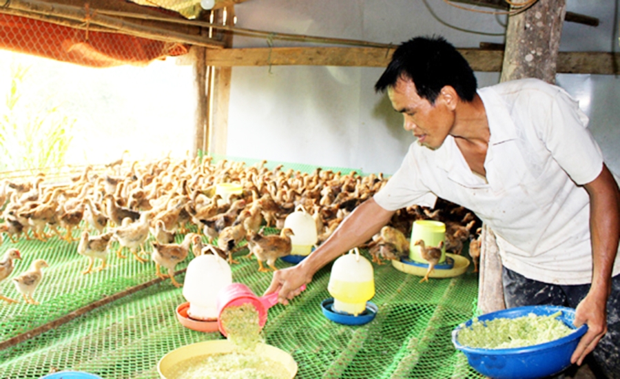 Ngành nông nghiệp tỉnh Lạng Sơn tiếp tục định hướng sản xuất theo hướng nâng cao giá trị gia tăng &lpar;Ảnh: BLS&rpar;.