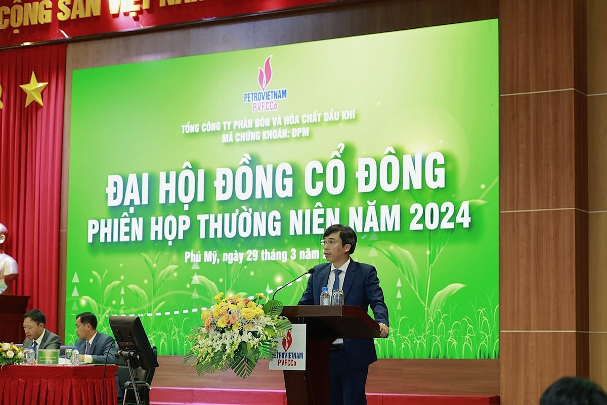 Ông Nguyễn Ngọc Anh báo cáo tại phiên họp.