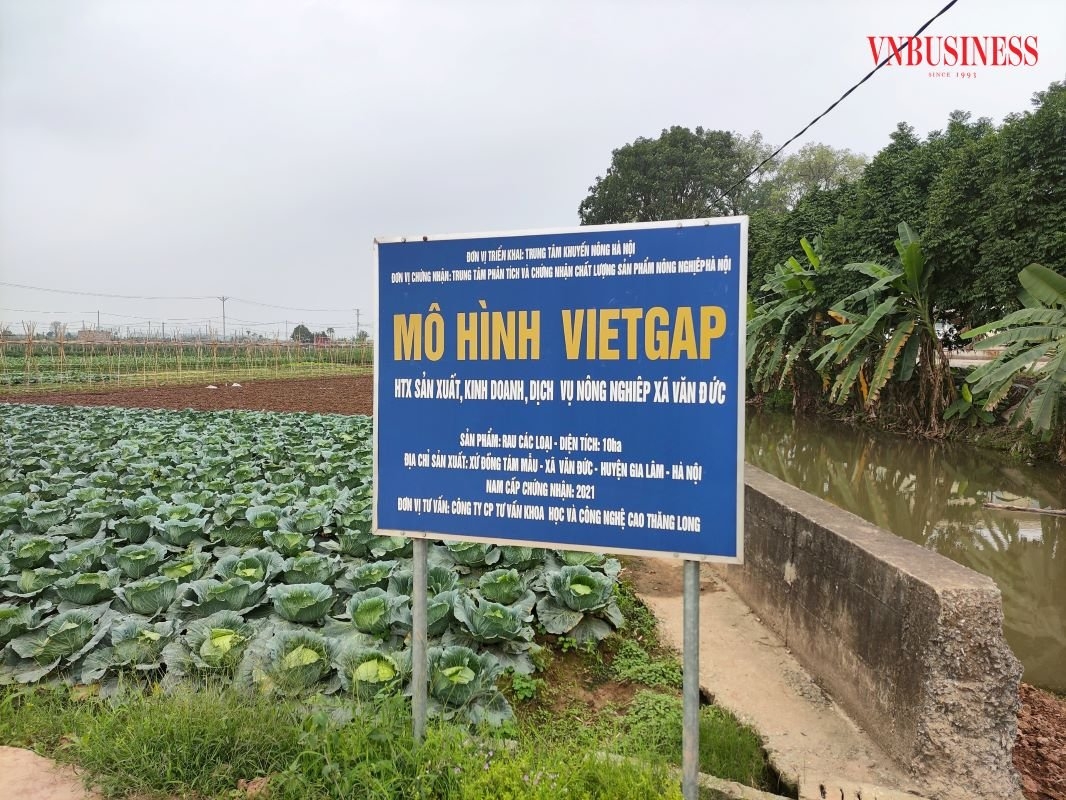 Chất lượng là yếu tố làm nên thành công của HTX Văn Đức.