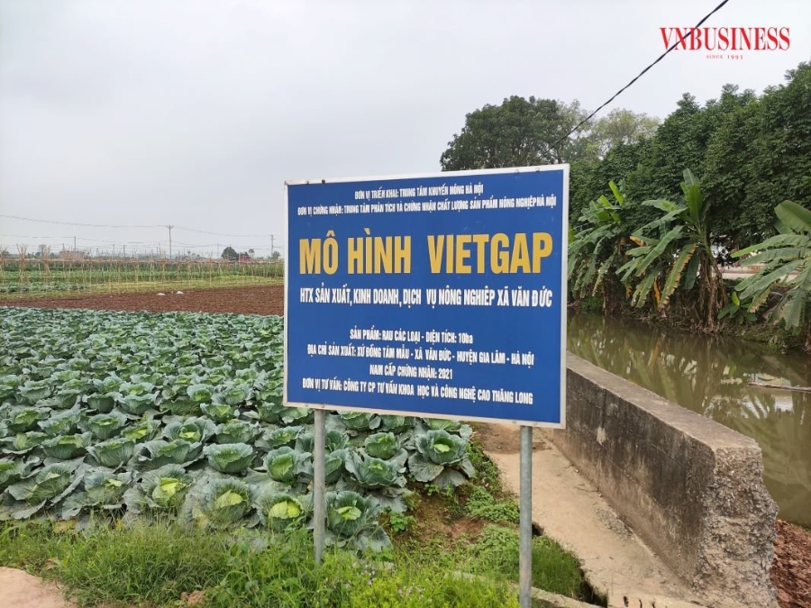 Chất lượng là yếu tố làm nên thành công của HTX Văn Đức.