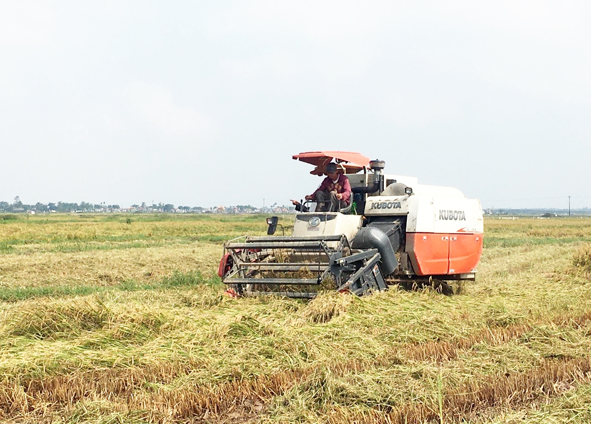 Ứng dụng khoa học công nghệ, cơ giới hóa giúp HTX, nông dân Triệu Phong nâng cao năng suất lao động.