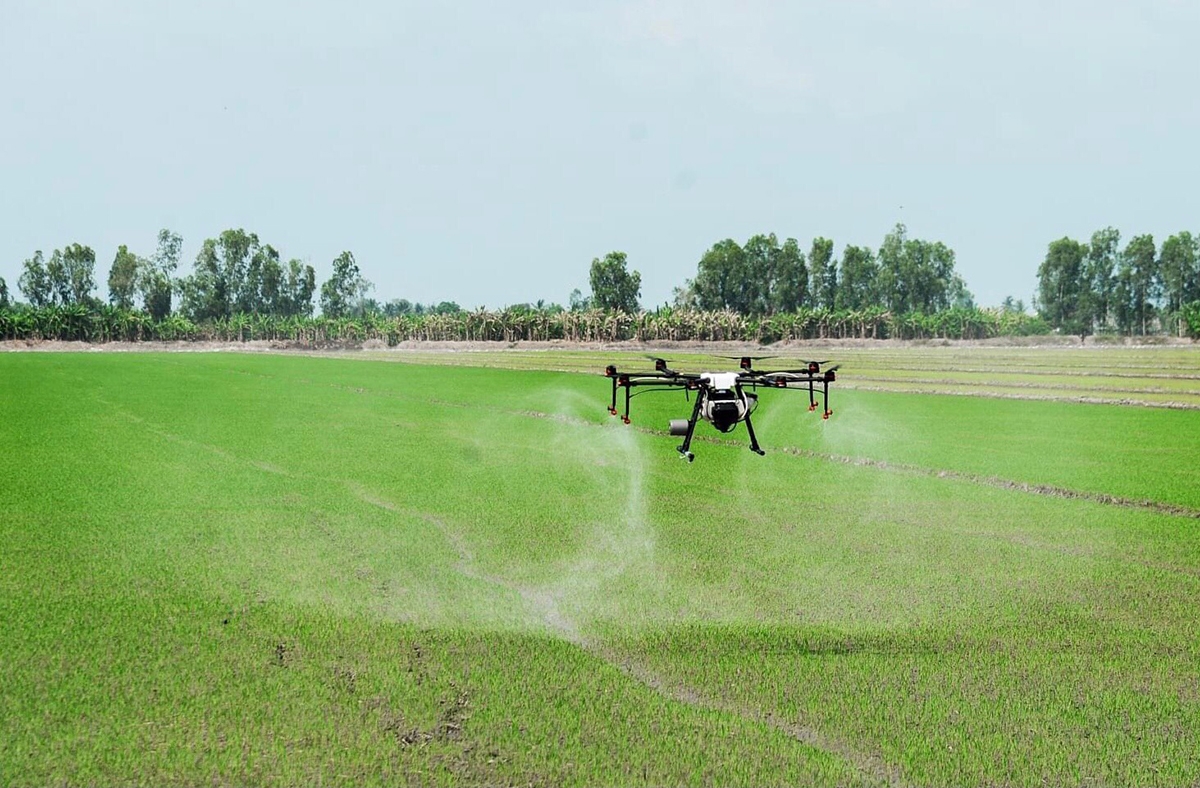 Long Điền đang đẩy mạnh công nghệ cao vào sản xuất nông nghiệp.