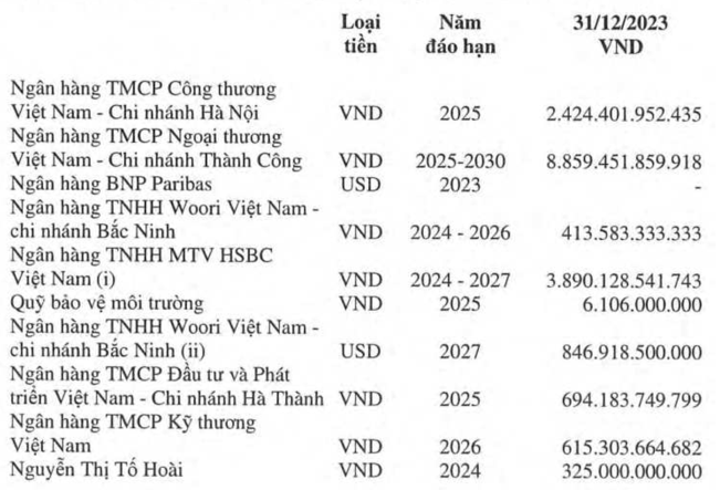 Dư nợ các khoản vay dài hạn của HPG tính đến cuối năm 2023.