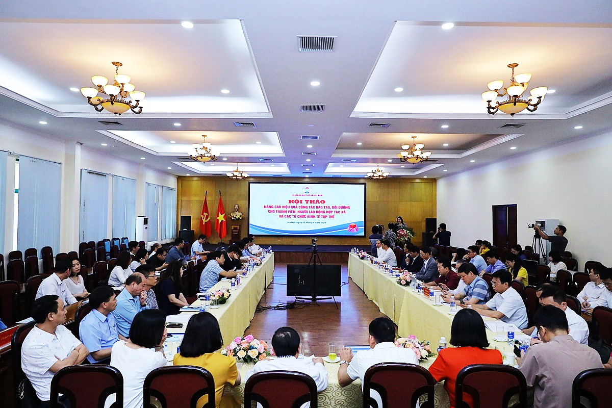 Đào tạo nguồn nhân lực cho HTX bài bản sẽ giúp khắc phục những khó khăn, vươn lên phát triển hiệu quả, bền vững.