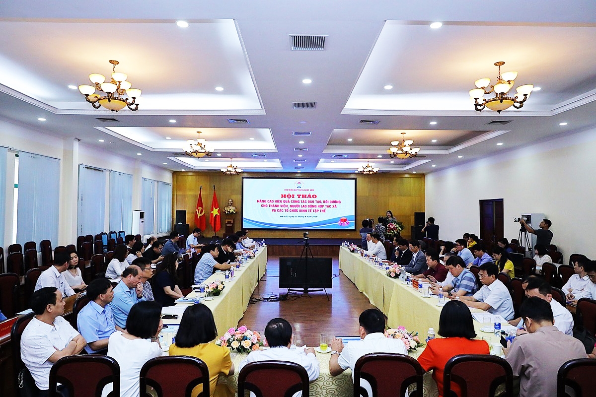 Đào tạo nguồn nhân lực cho HTX bài bản sẽ giúp khắc phục những khó khăn, vươn lên phát triển hiệu quả, bền vững.