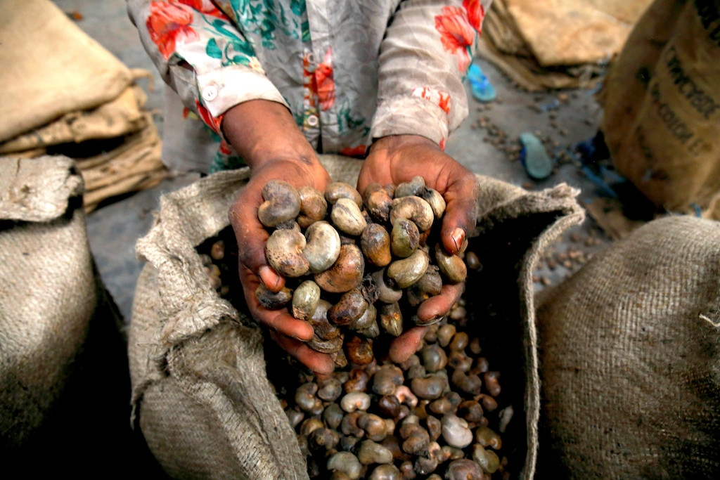 Do phụ thuộc lớn vào nguồn nguyên liệu điều thô nhập khẩu, nên một khi tỷ giá USD tăng sẽ tác động lên chi phí giá thành sản phẩm của các DN chế biến hạt điều.