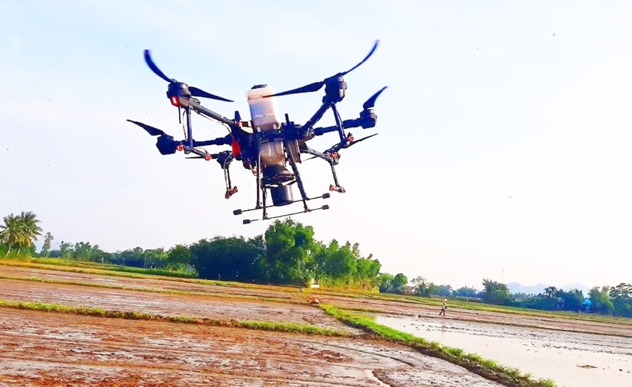 Thiết bị bay trên cánh đồng Tuy Phước, sự hỗ trợ của khoa học kỹ thuật giúp hiệu quả sản xuất của nông dân tăng lên.