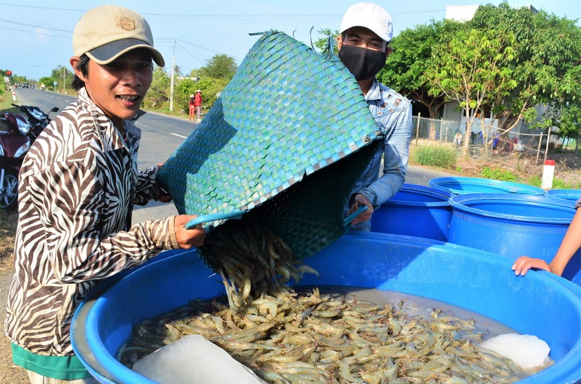 Sản xuất bền vững giúp các HTX có thể thuận lợi đáp ứng các tiêu chuẩn để phục vụ các thị trường.