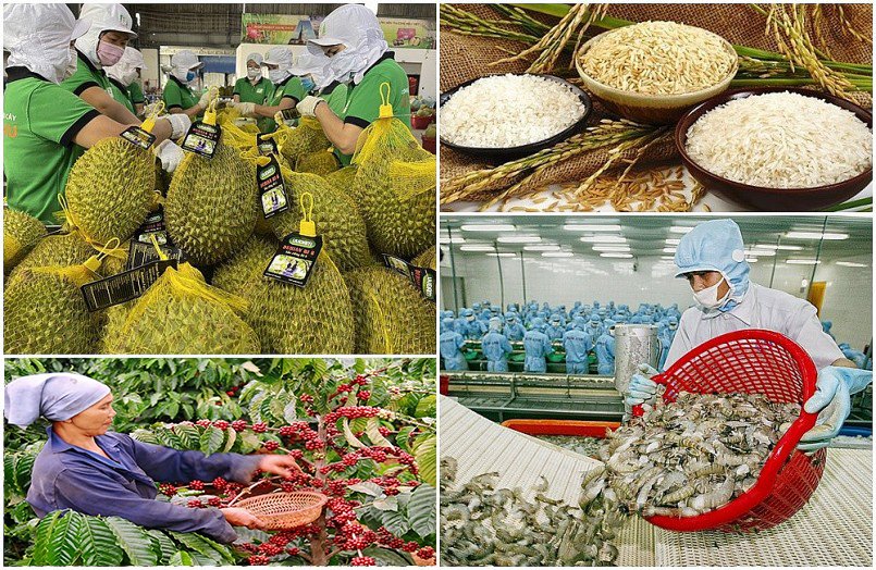 Xuất khẩu nông-thủy sản trong nửa cuối tháng 3 tăng 11,1% so với cùng kỳ năm trước.