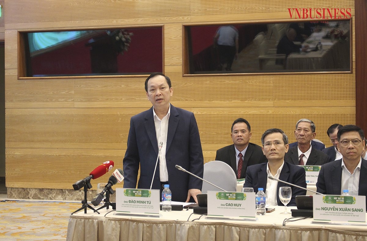 Ông Đào Minh Tú, Phó Thống đốc Ngân hàng Nhà nước