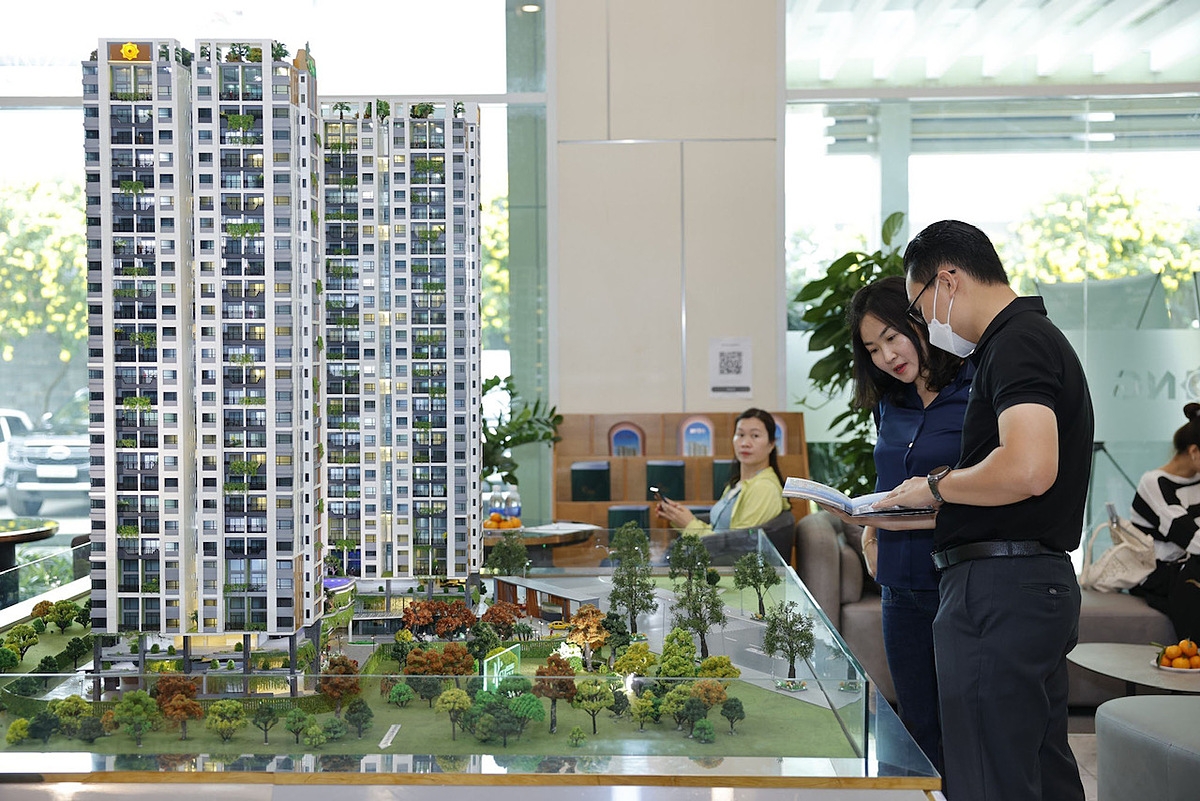 Các bạn trẻ nên tìm hiểu kỹ lưỡng và lựa chọn khu căn hộ để cho thuê dựa trên đánh giá về nhu cầu của thị trường.