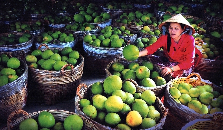Cần chiến lược truyền thông mang tính quốc gia để thúc đẩy ngành nông nghiệp phát triển bền vữn