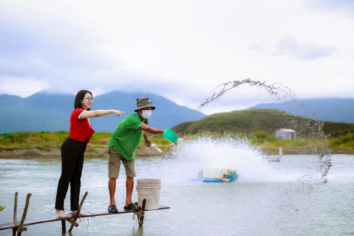 Chương trình được triển khai đến hết ngày 31/12/2024 hoặc đến khi đạt quy mô chương trình, lãi suất thấp hơn sàn lãi suất cho vay thông thường đến 2,4%/năm, cùng với đó là nhiều ưu đãi về lãi suất tiền gửi, phí dịch vụ và tỷ giá mua bán ngoại tệ đến hết 30/6/2025.