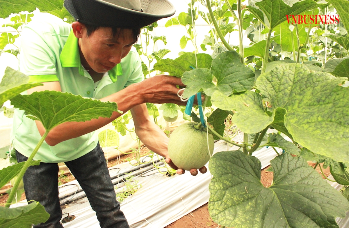 Thay đổi tư duy sản xuất, ứng dụng khoa học kỹ thuật giúp nông dân làm giàu bền vững.