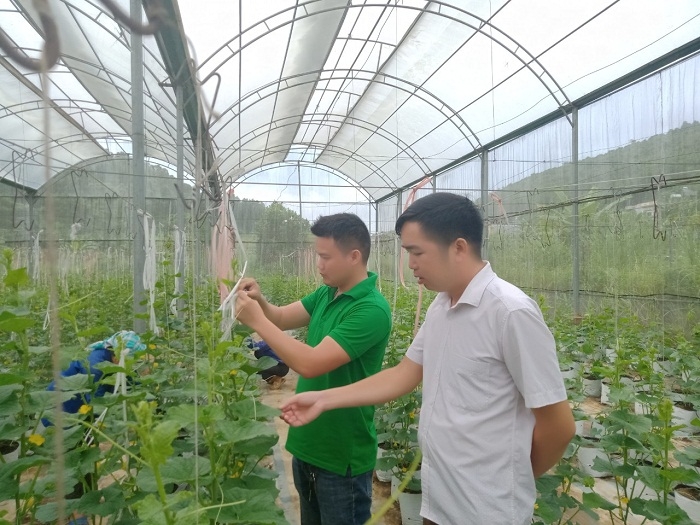 Để phát triển HTX, tổ hợp tác thanh niên cần tạo điều kiện cho những đơn vị này tiếp cận vốn, khoa học công nghệ...