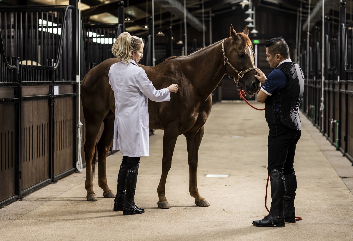 Học viện cưỡi ngựa Hoàng gia sở hữu cơ sở vật chất cũng như đội ngũ huấn luyện, chăm sóc ngựa hàng đầu.