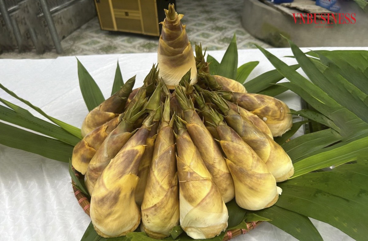 Măng trúc hoàn toàn sạch và thơm, giòn, ngon, ngọt nhẹ.