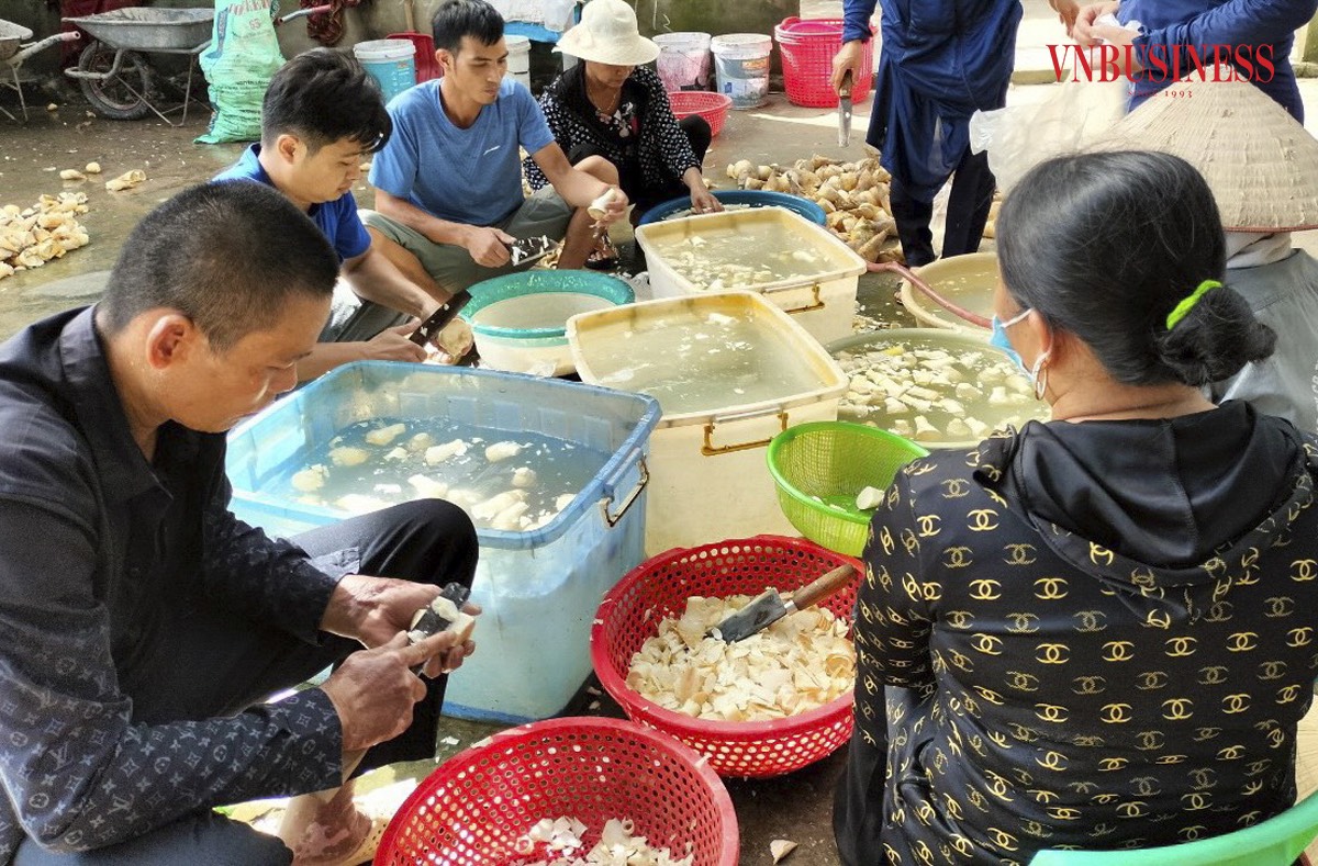 HTX có hơn 30 thành viên, cùng hàng trăm lao động thường xuyên và thời vụ với mức lương bình quân 8 triệu đồng/người/tháng.