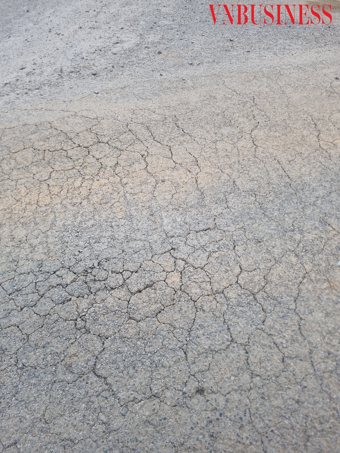 Hiện tượng nứt chân chim rõ ràng tại khu vực dẫn lên tuyến đê.