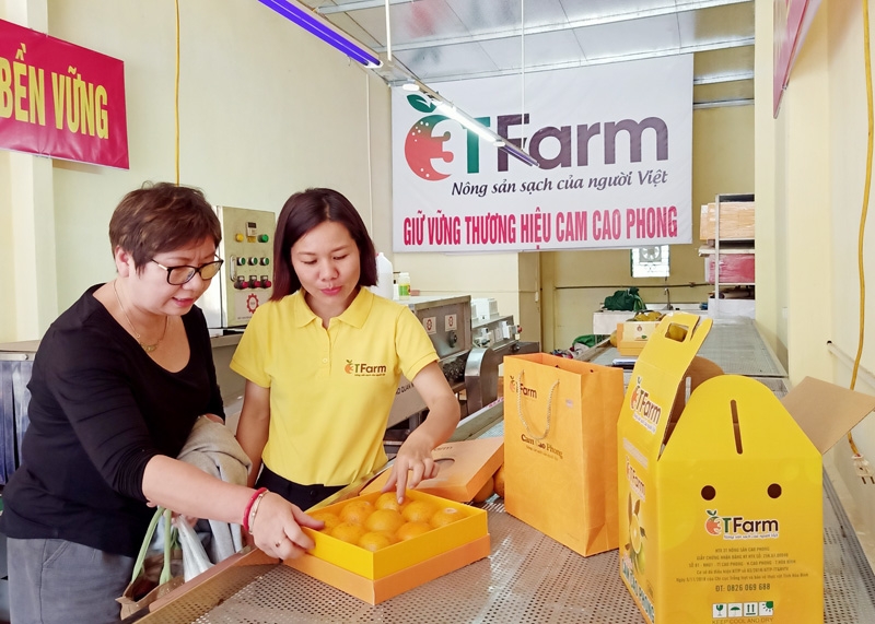 Chọn đúng đối tượng khách hàng và thị trường sẽ giúp HTX có định hướng đầu tư và phát triển sản phẩm một cách phù hợp.