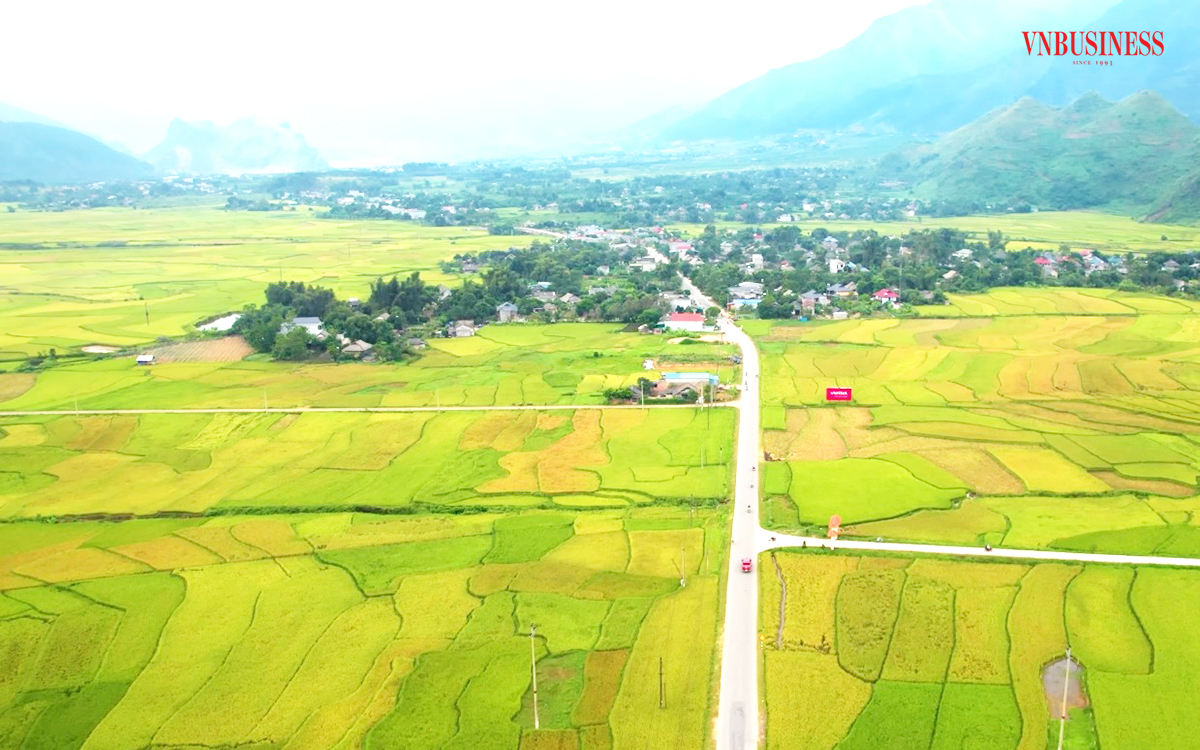 Những cánh đồng lớn hình thành ở Mường Thanh.