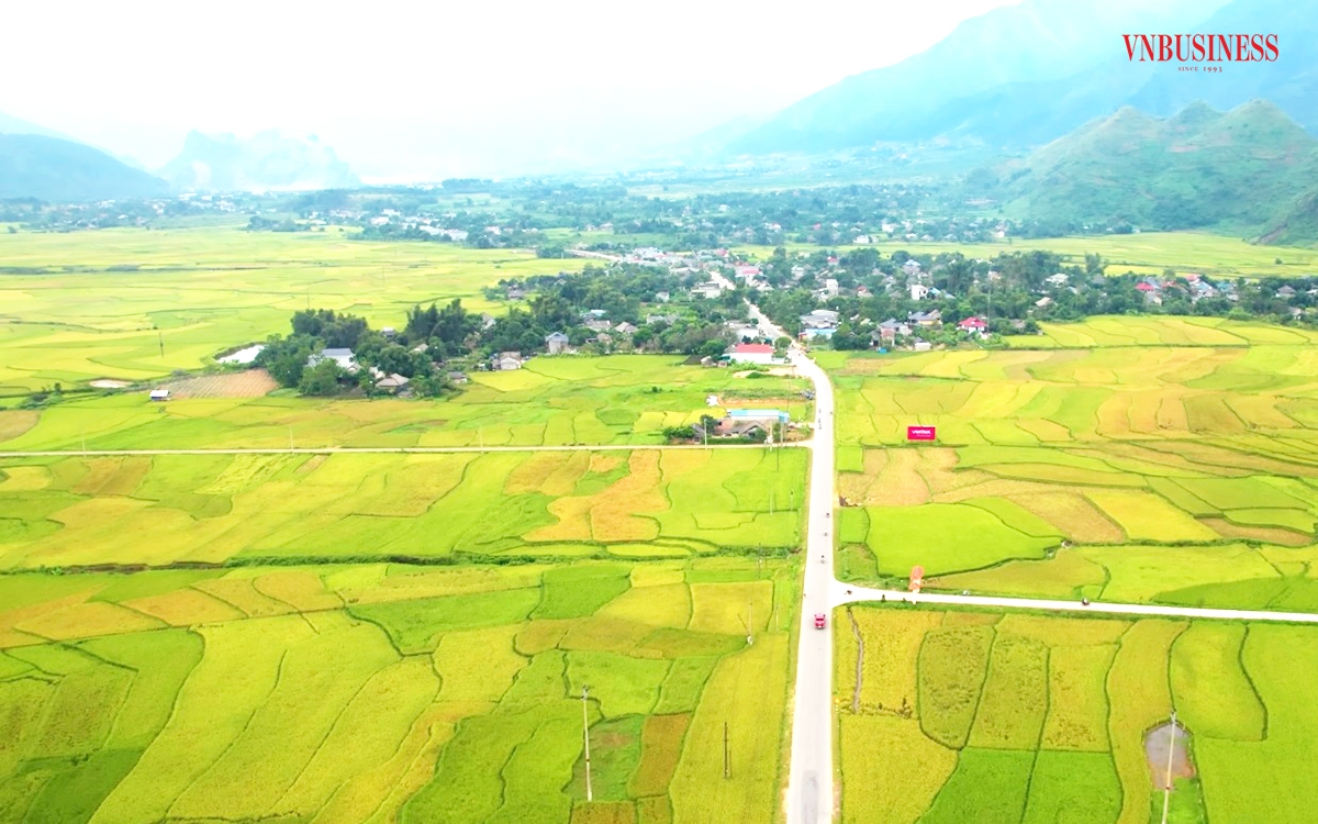 Những cánh đồng lớn hình thành ở Mường Thanh.