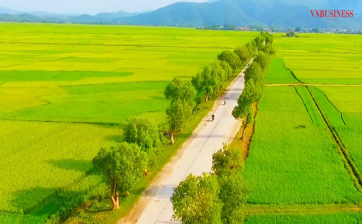 Chuyển đổi từ sản xuất nhỏ lẻ sang sản xuất theo hướng hàng hóa giúp nông dân nâng cao giá trị.