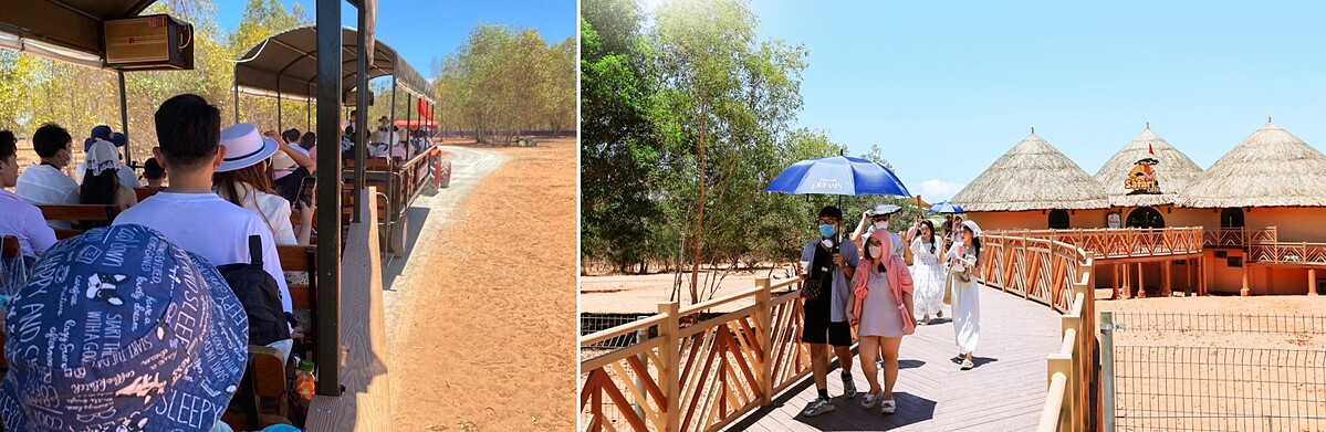 Du khách mê mẩn khám phá Safari Cafe - mô hình cafe bán hoang dã đầu tiên tại Bình Thuận.